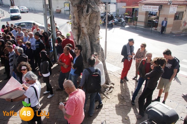 td7sanosrof (29).JPG